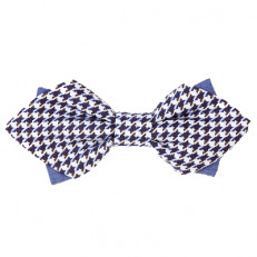 Papillon Elegance